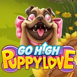 Go High Puppy Love game by RubyPlay – logo hosted on Golden Panda Casino